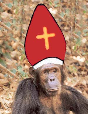 Sexe et religion: singe avec mitre de cardinal sur la tête