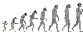 Nos origines; évolution de l’anthropoïde vers l’humain