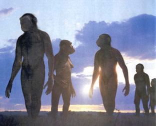 Nos origines; des êtres humains à la préhistoire