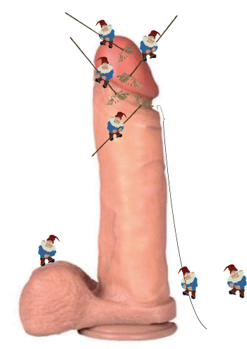 Hygiène sexuelle: dessin animé comique d’un zizi en cours de nettoyage