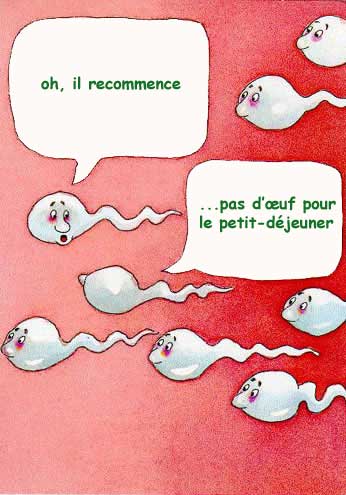 Dessin comique de spermatozoïdes à la recherche, en vain, d’un ovule