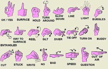 Sexe et expression verbale: le langage des signes est aussi une langue