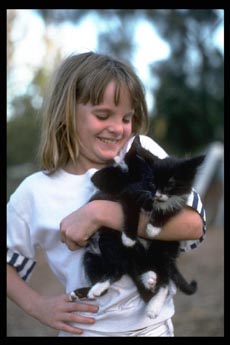 Comportement de l’attachement  fille avec deux chatons
