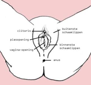 circoncision